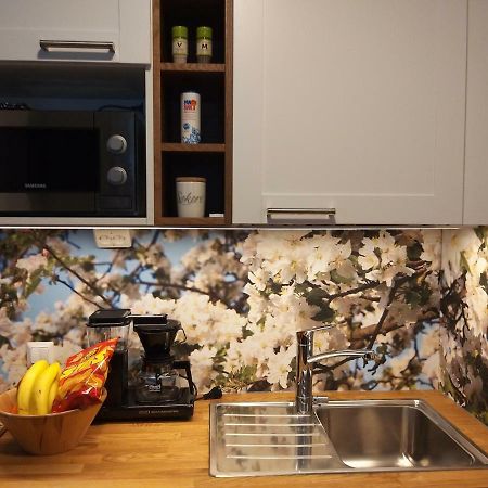 Studiohuoneisto Lohjan Keskusta 2 Экстерьер фото