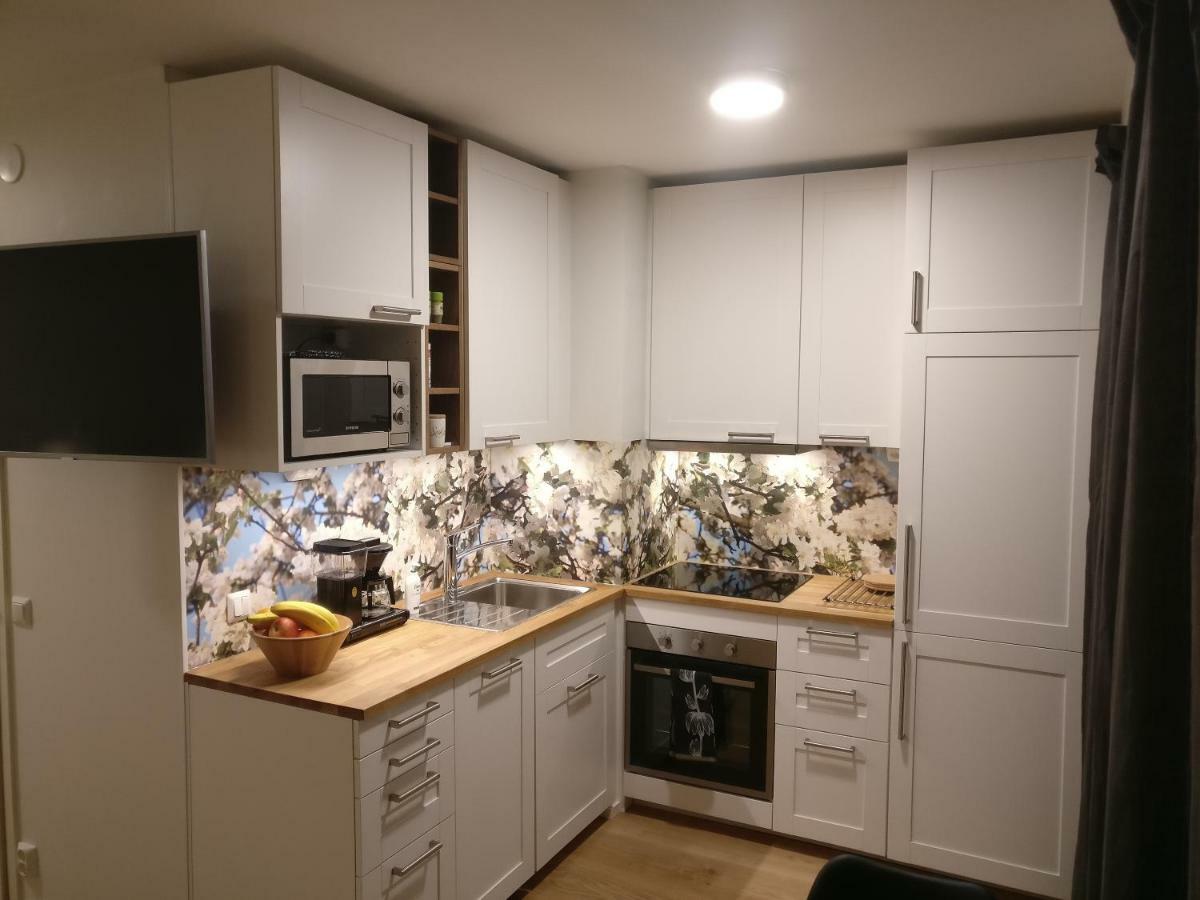 Studiohuoneisto Lohjan Keskusta 2 Экстерьер фото